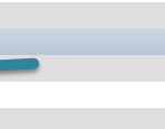 active_plugins
