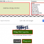 ping-website-14
