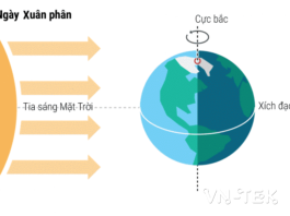 Xuân phân là gì mà Google Doodle để biểu tượng hôm nay?