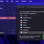 Preview : Thumbnails file trên macOS 6
